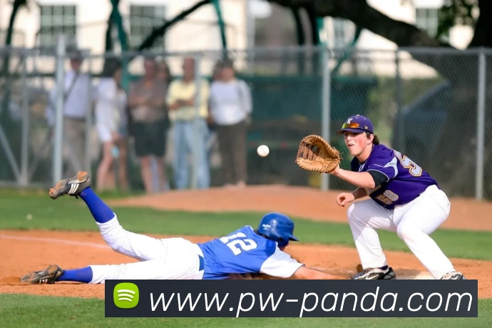 熊猫体育app品牌故事