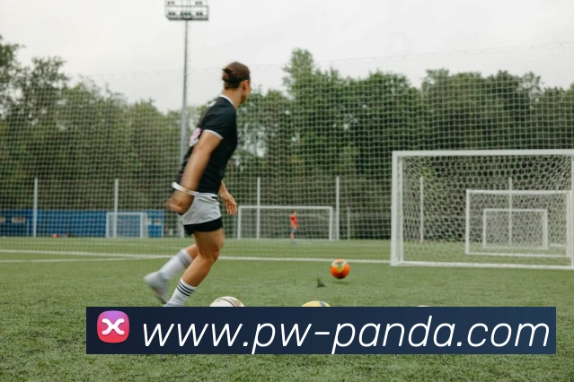 熊猫体育app服务体系